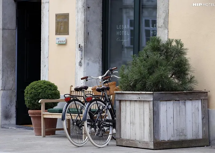 Lesar Angel - Member Of Hip Szálloda